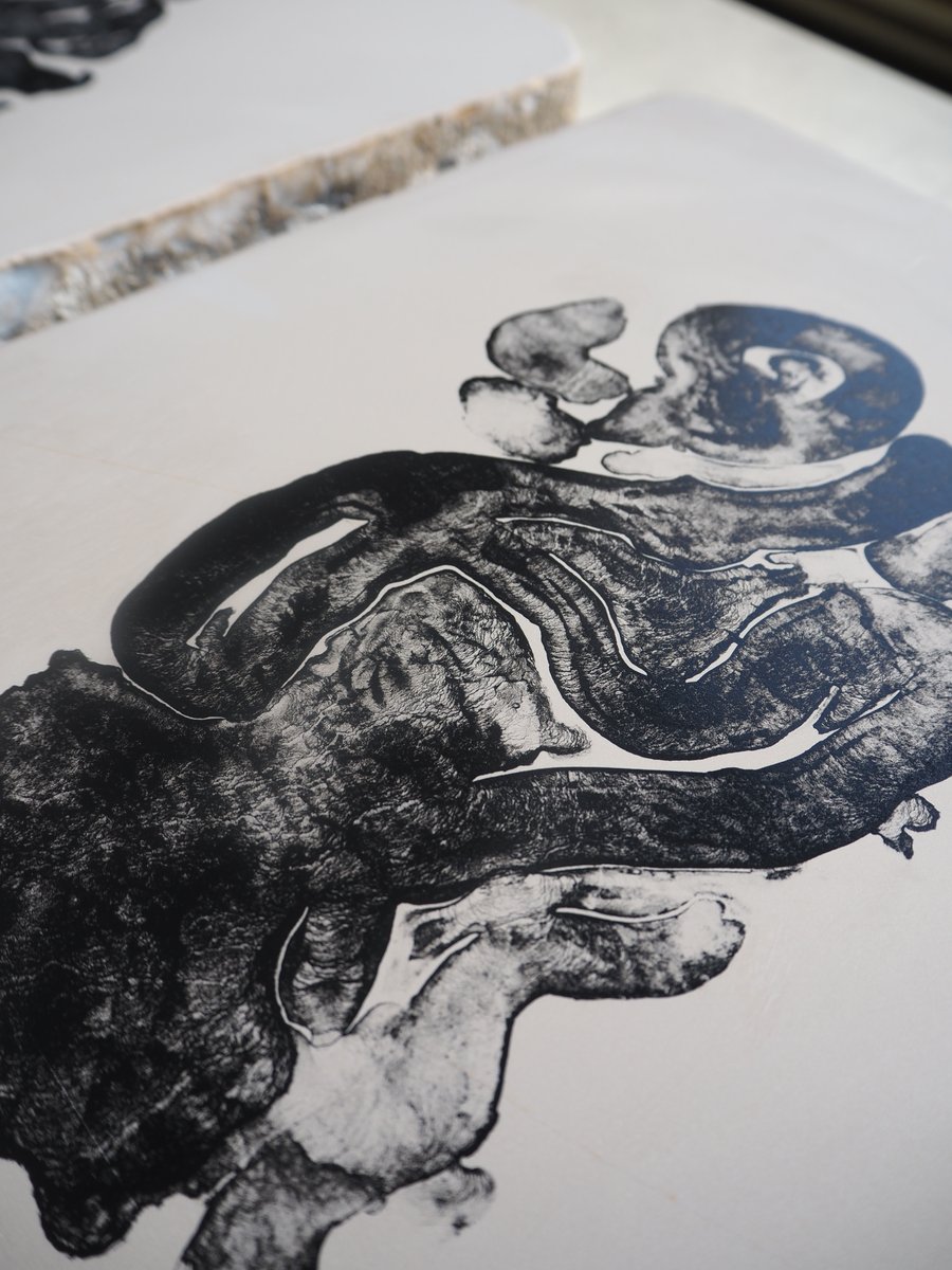 The Lounging Lion Stone Lithograph Print | Georgia Green